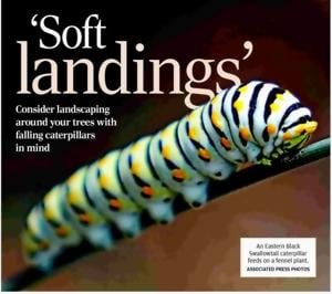 Catawba County High School Football Playoff Highlights and Updates